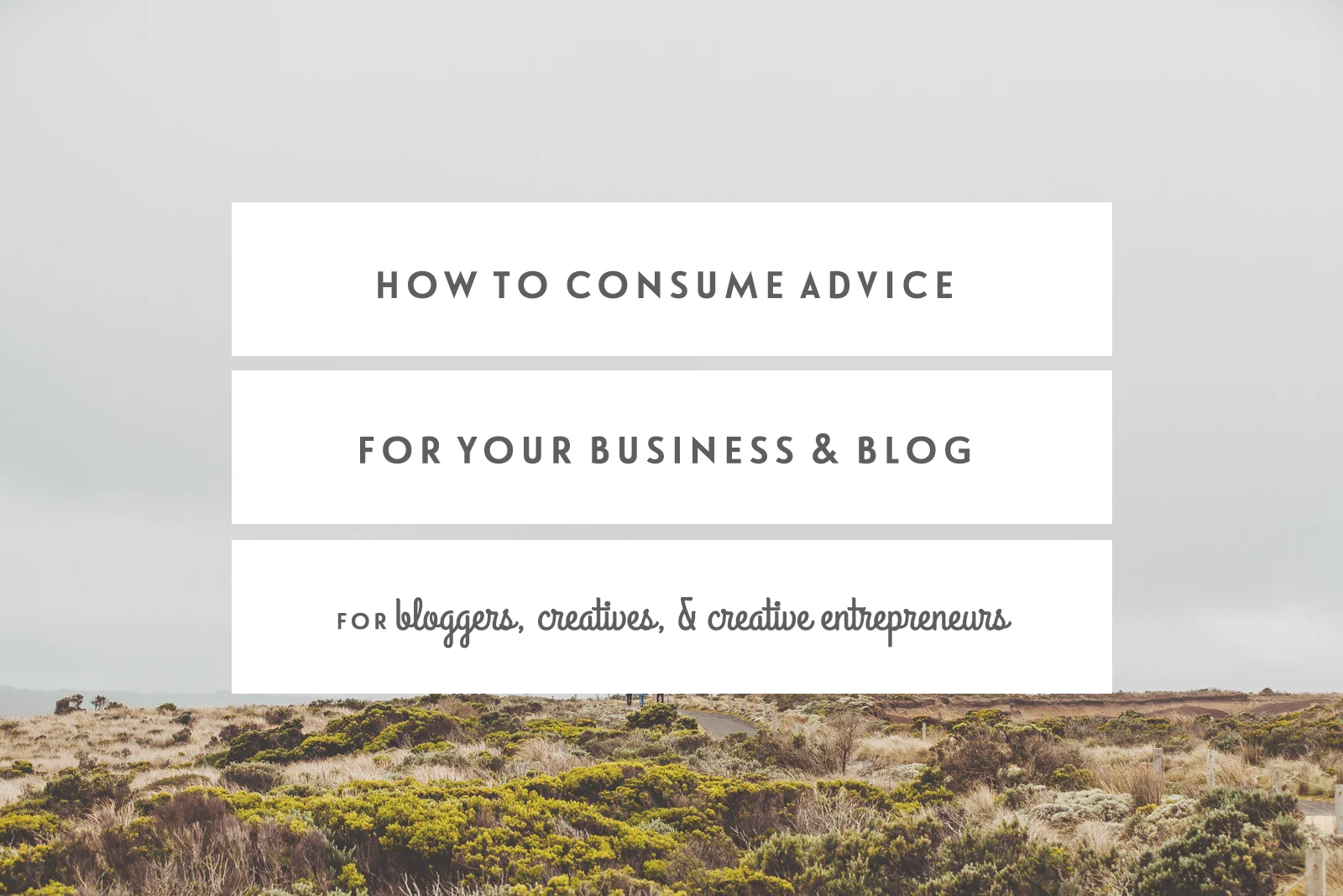 consumeadviceforbusinessandblog.jpg