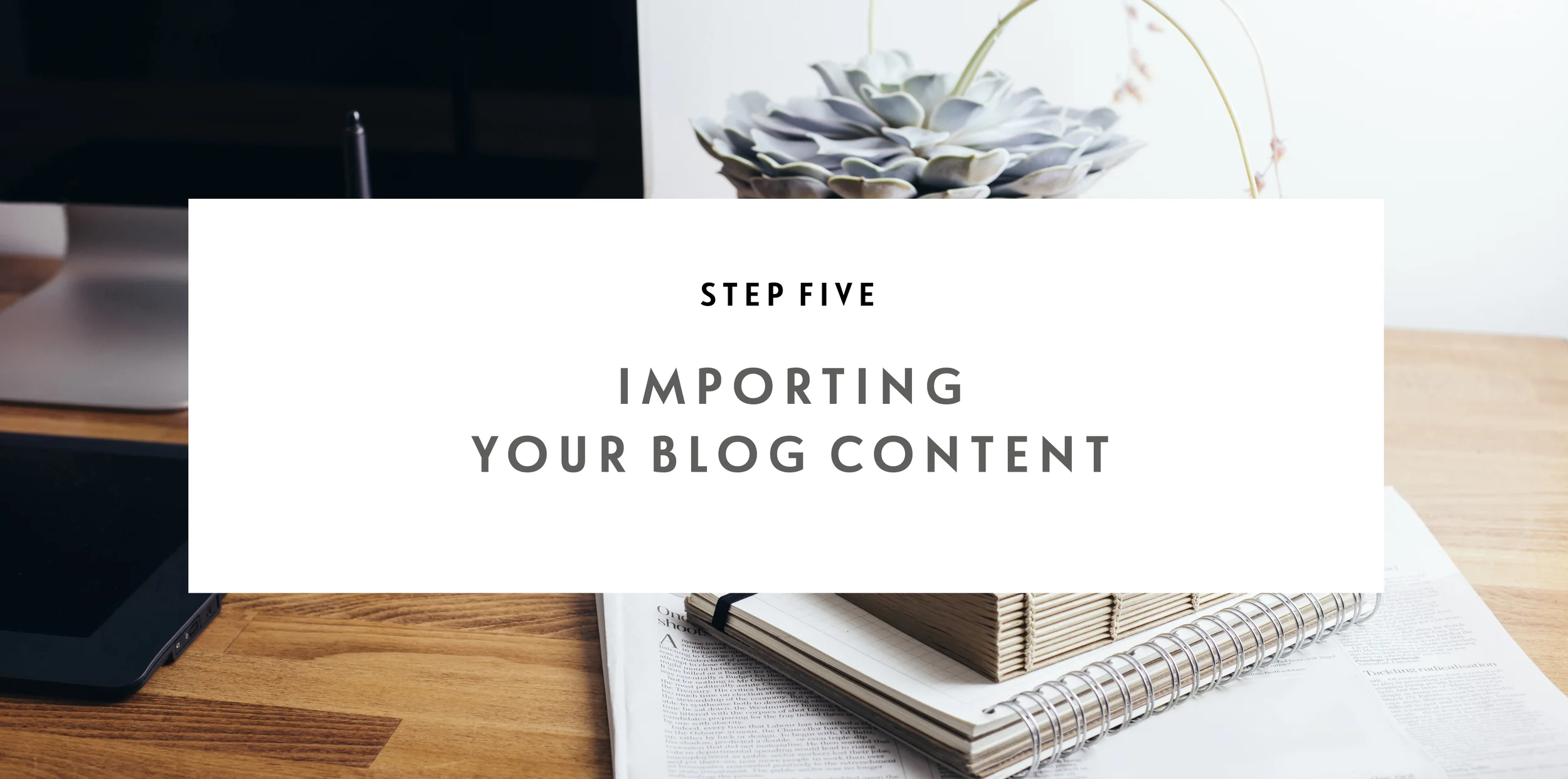 step5.jpg