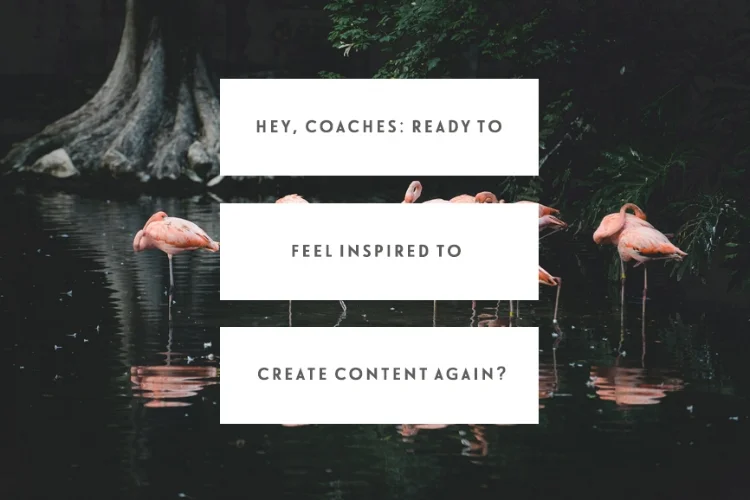 Hey, Coaches: Ready To Feel Inspired To Create Content Again?