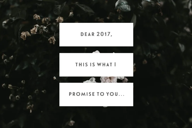 Dear 2017, This Is What I Promise To You...