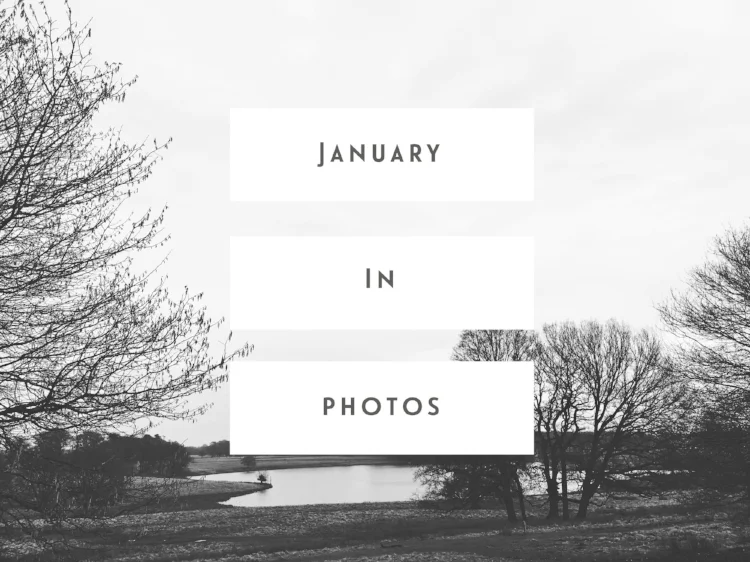 January In Photos 
