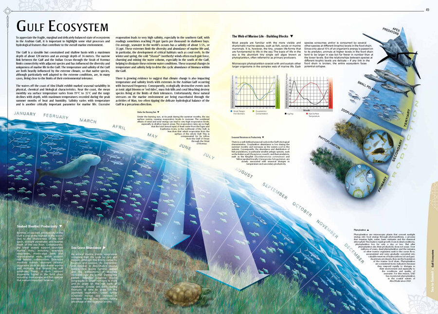 Pages from AGEDI Atlas Book Eng Small-2.jpg