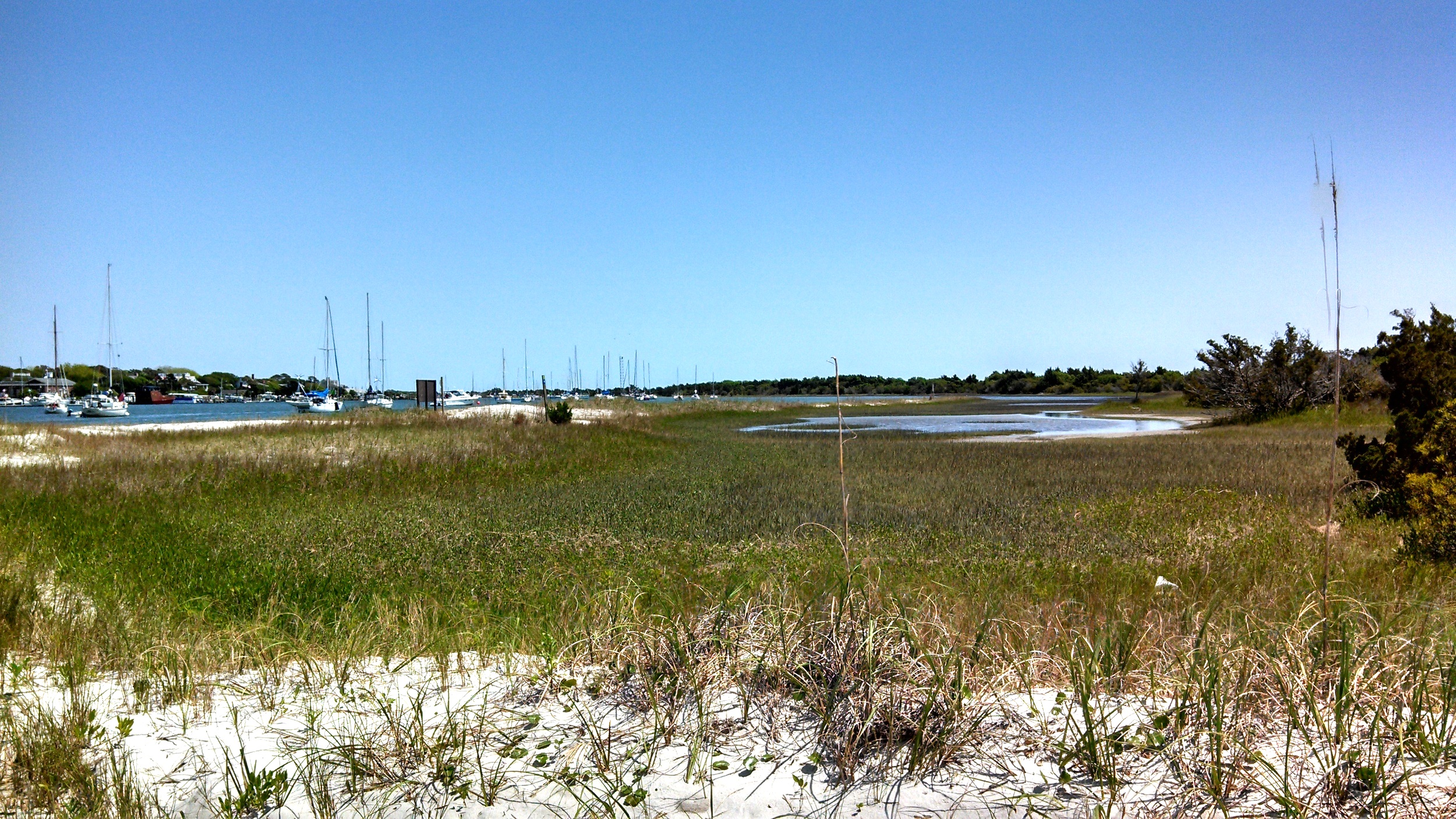Tranquil marshes within the Rachel Carson Reserve