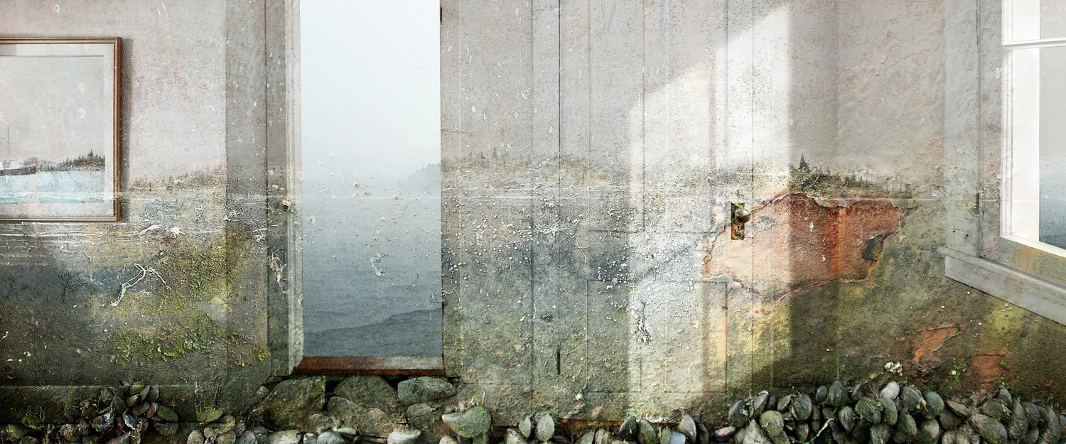 Ides of March 2017 digital montage realized as archival pigment print 15" x 36"
