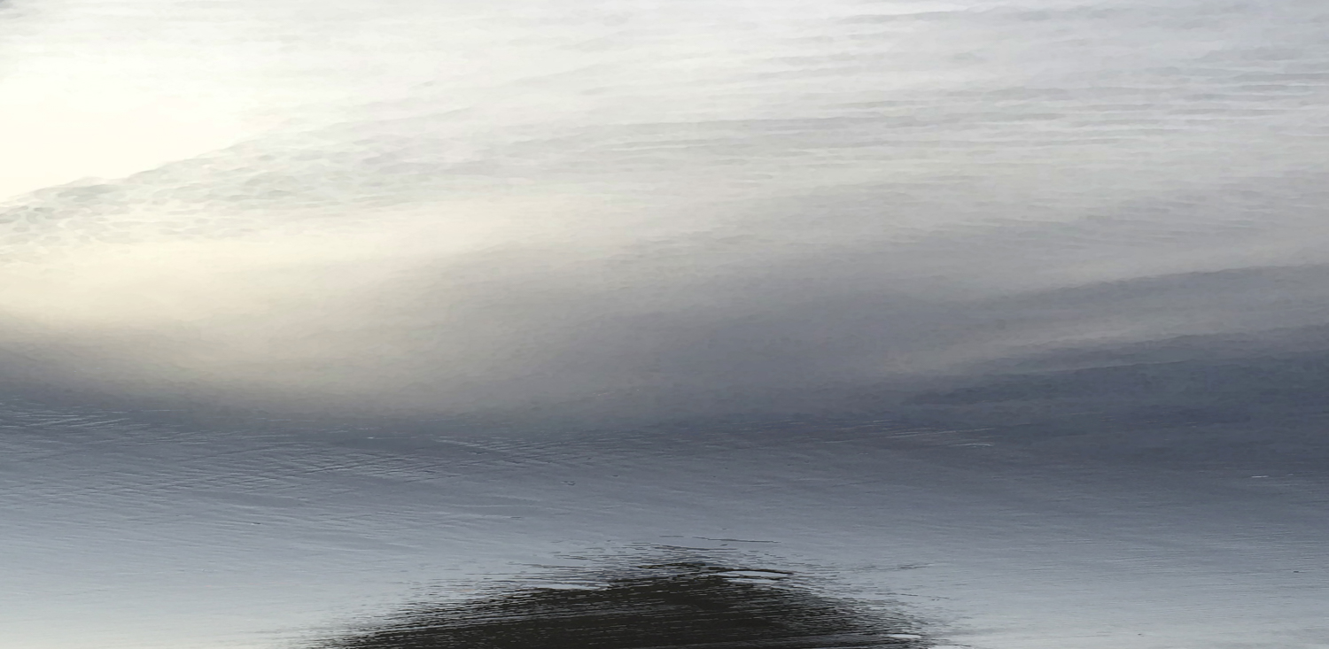 Coexistants 2017 digital montage realized as archival pigment print 20" x 41"