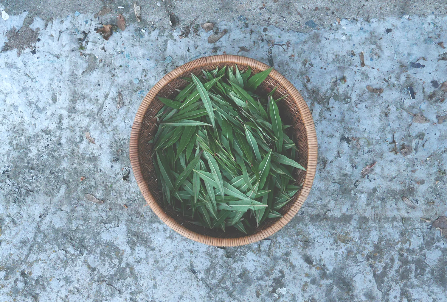 blog_mjölkört korg 1