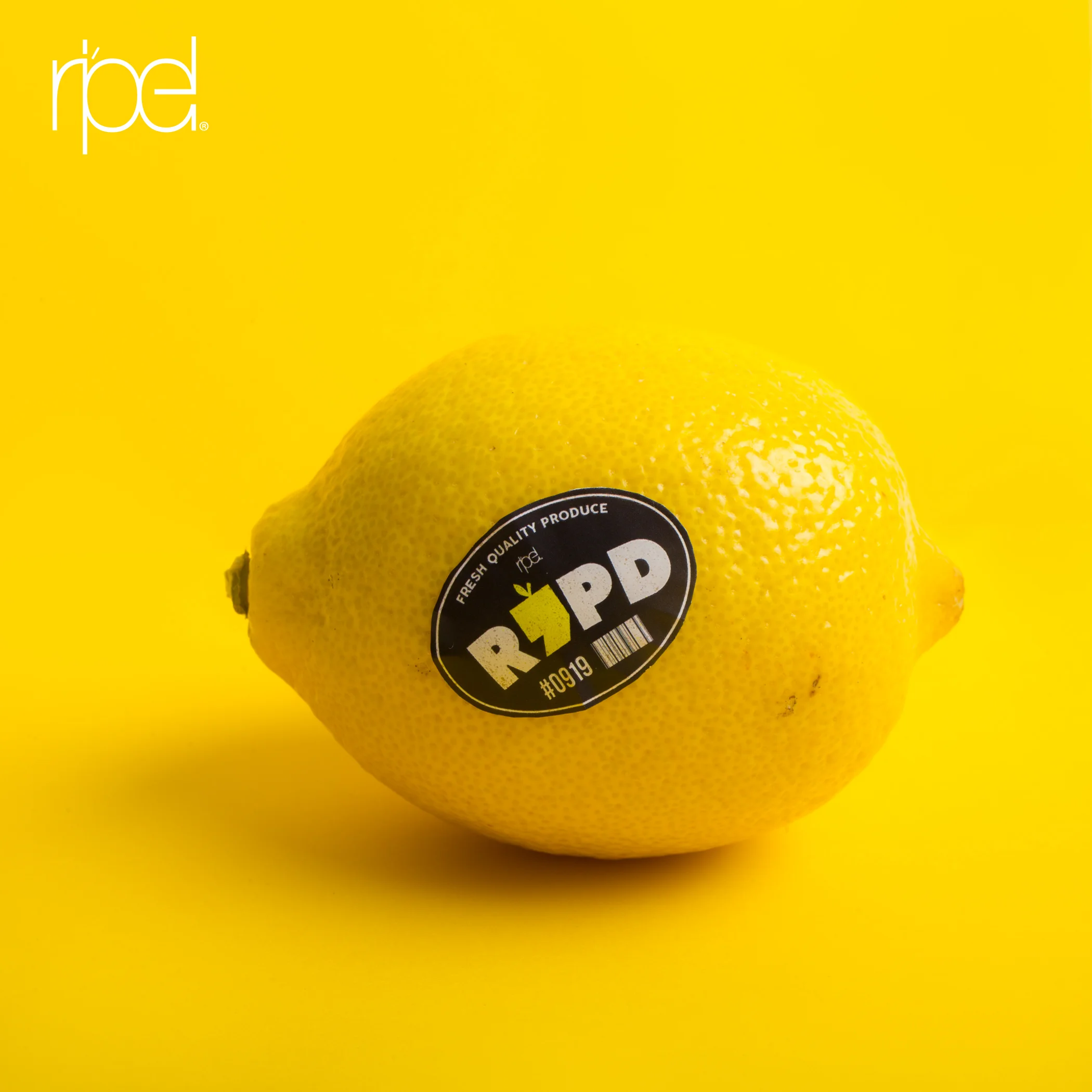 lemon.jpg