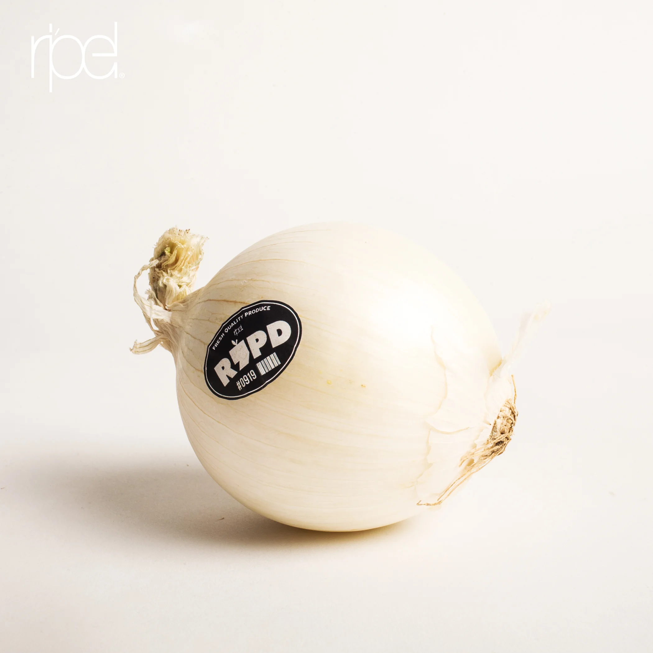 Onion.jpg