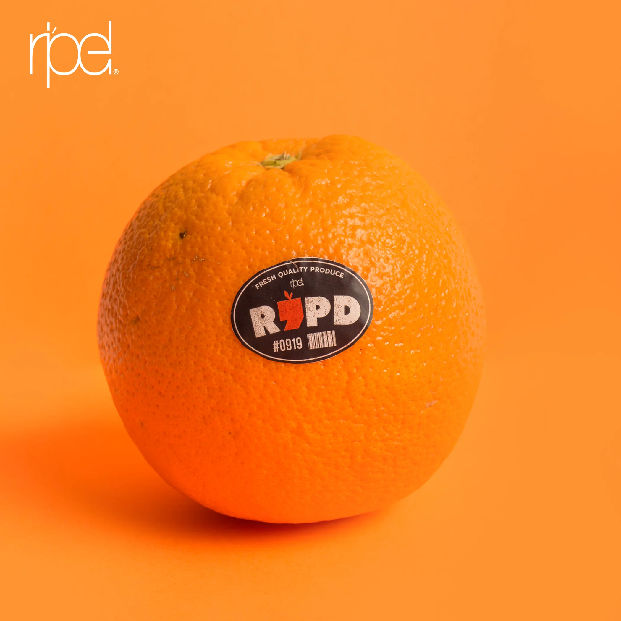 Orange.jpg
