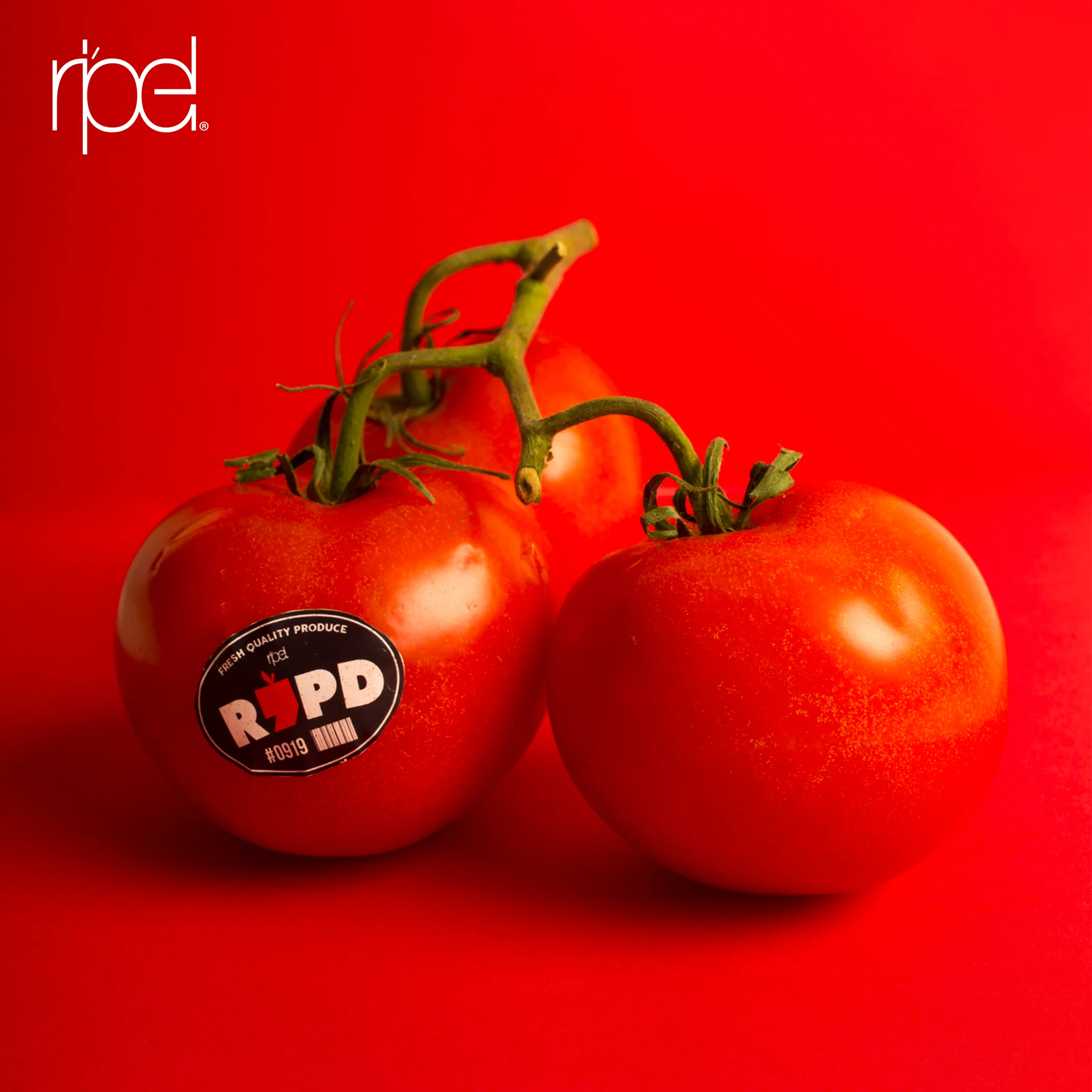 Tomato.jpg