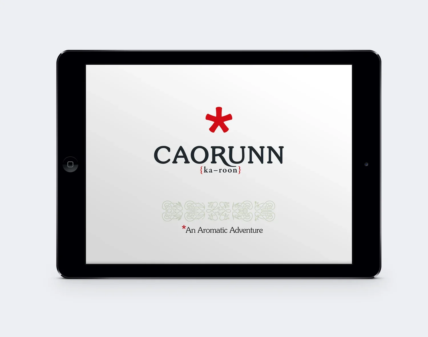 ipad_6.webp