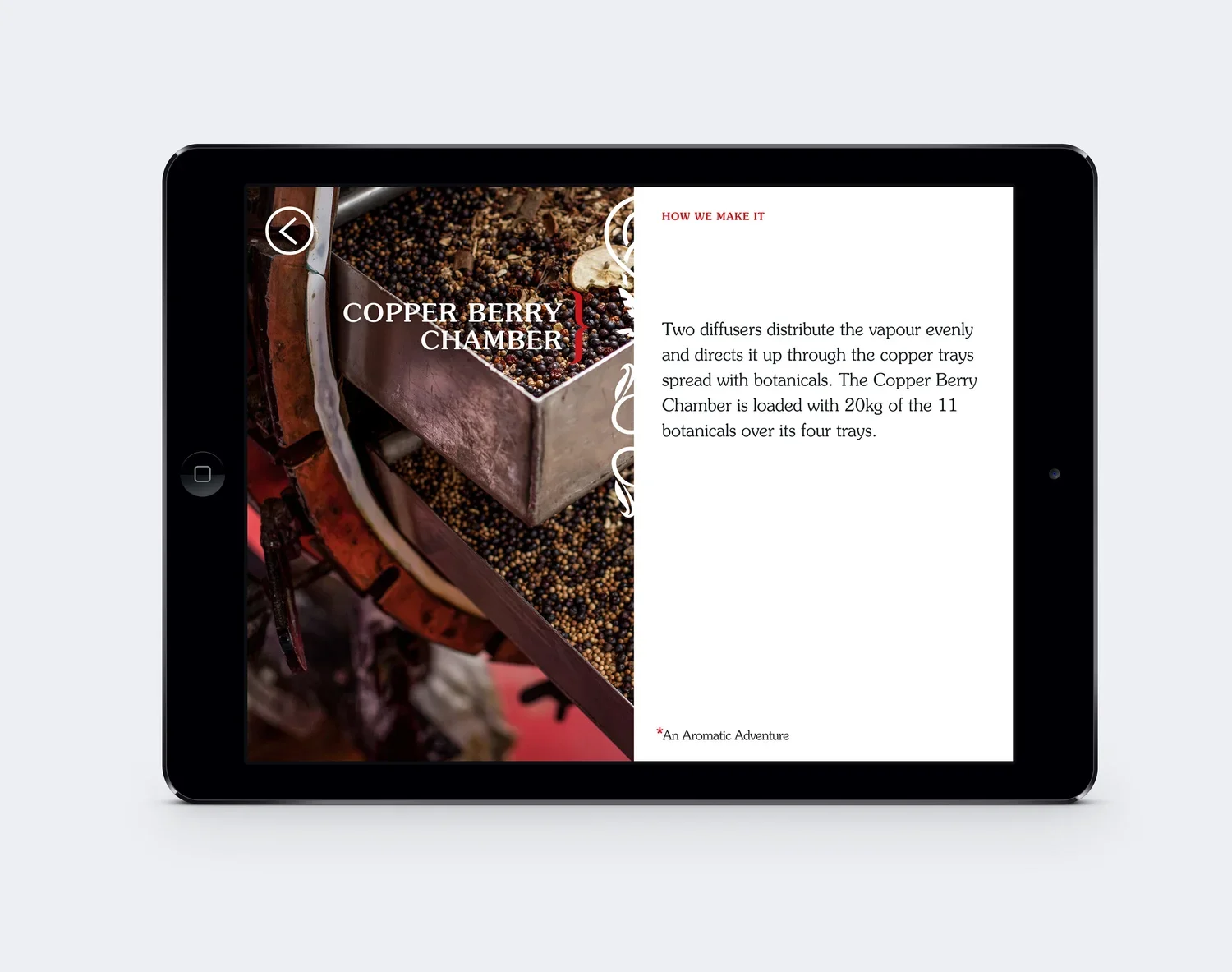 ipadscreen2.webp