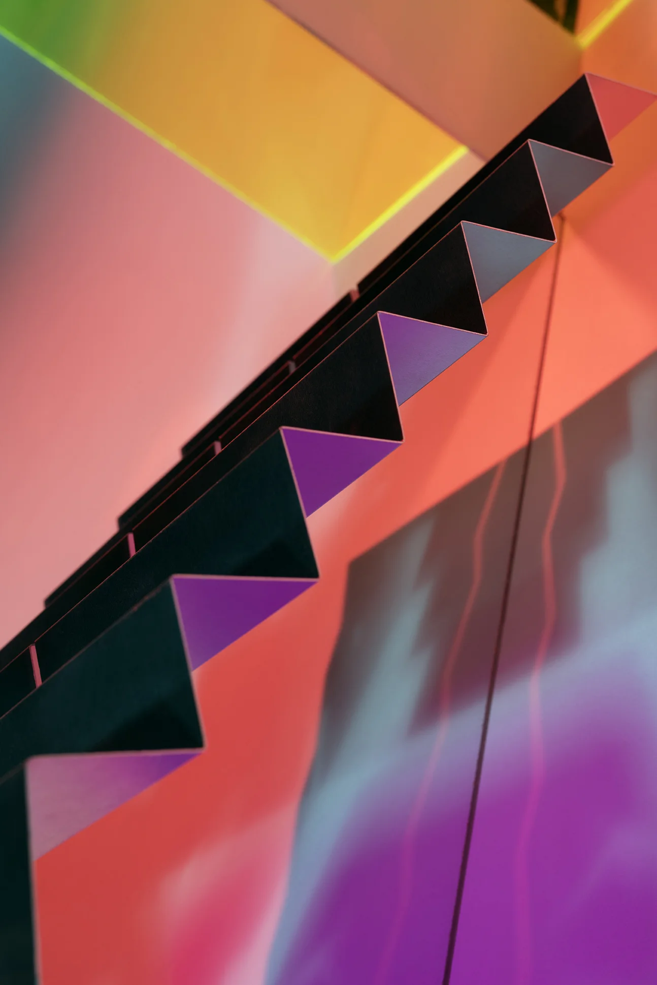 Neon in a Tropical Night, 2017