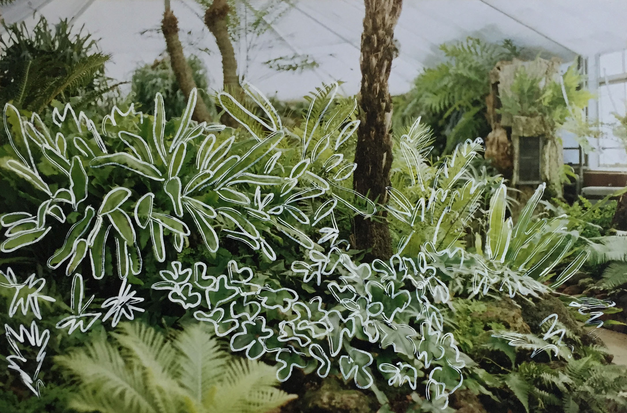 Untitled (Conservatory), 2016