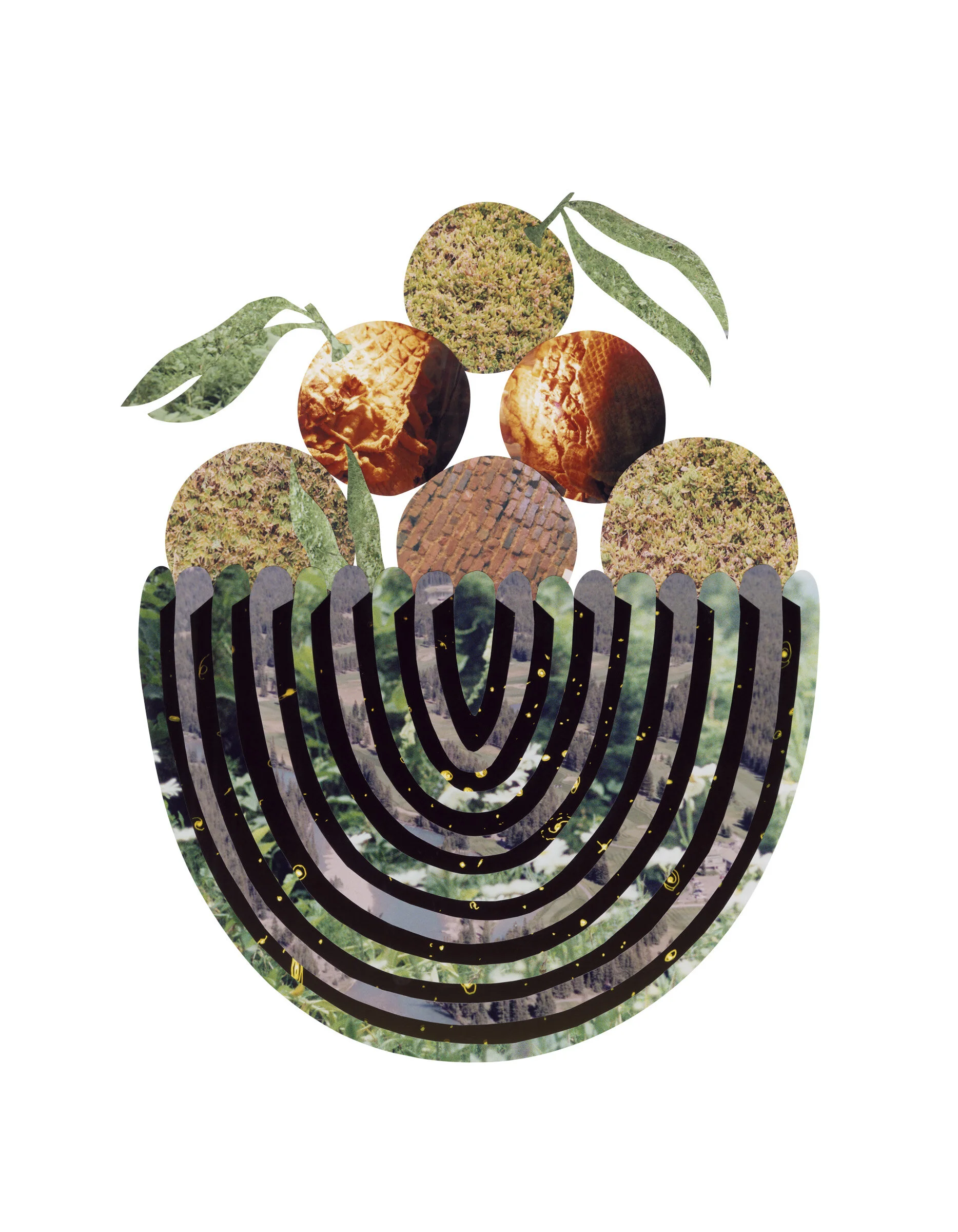 Please Don't Step On My Rainbow