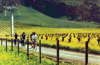 Biking through Vineyards
