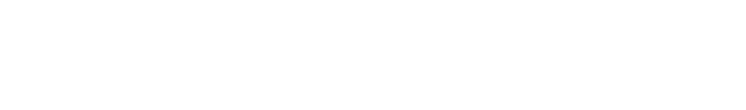 Official Logo white.png