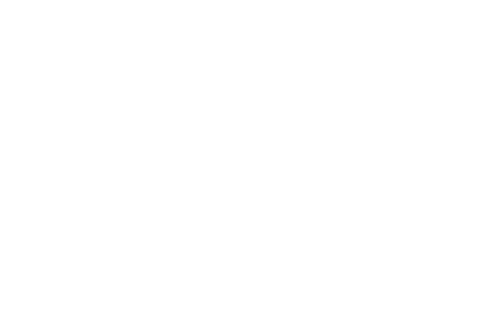 PUMA - WHITE.png