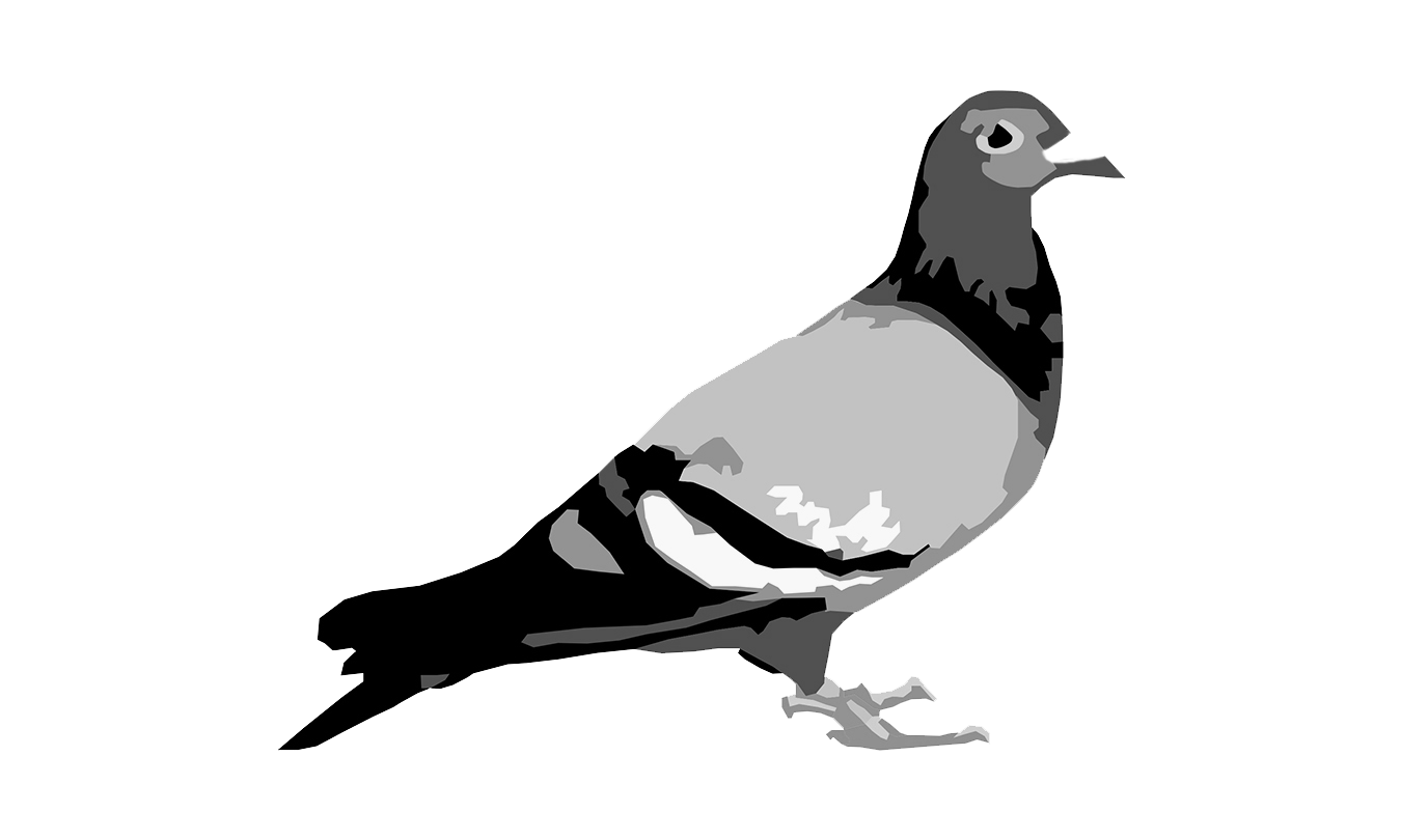 staple pigeon - BNW.png