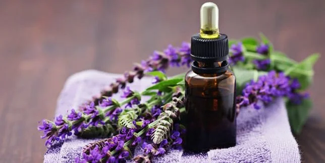 Nature's Healing Elixir: The Top 6 Essential Oils and Their Uses