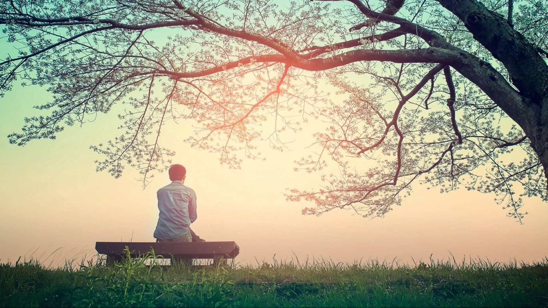 The Art of Compassionate Communication