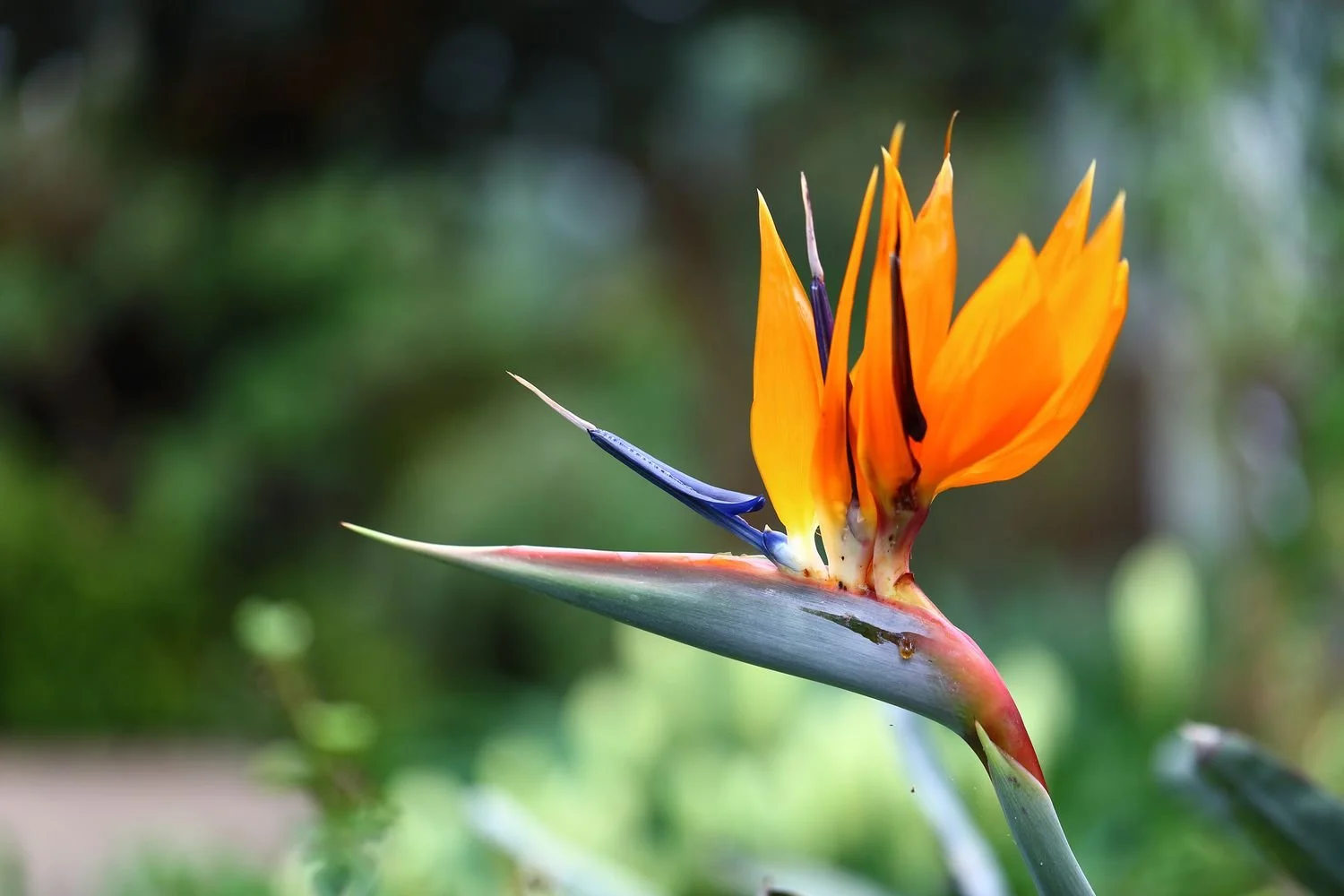 Thriving as an Empath: Strategies for Managing Your Sensitivity