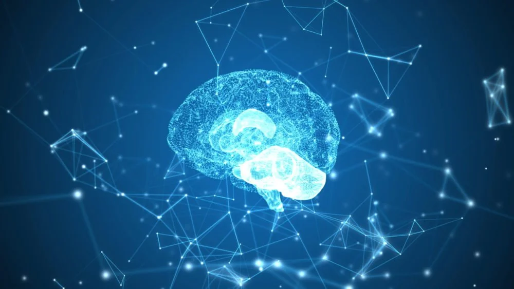 The Power of Neuroplasticity
