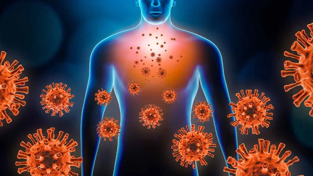 What is the Inflammatory Response?