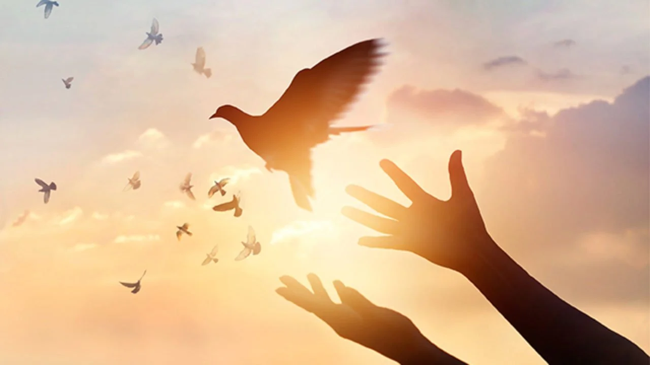 The Power of Forgiveness: How Cultivating Forgiveness Can Transform Your Life