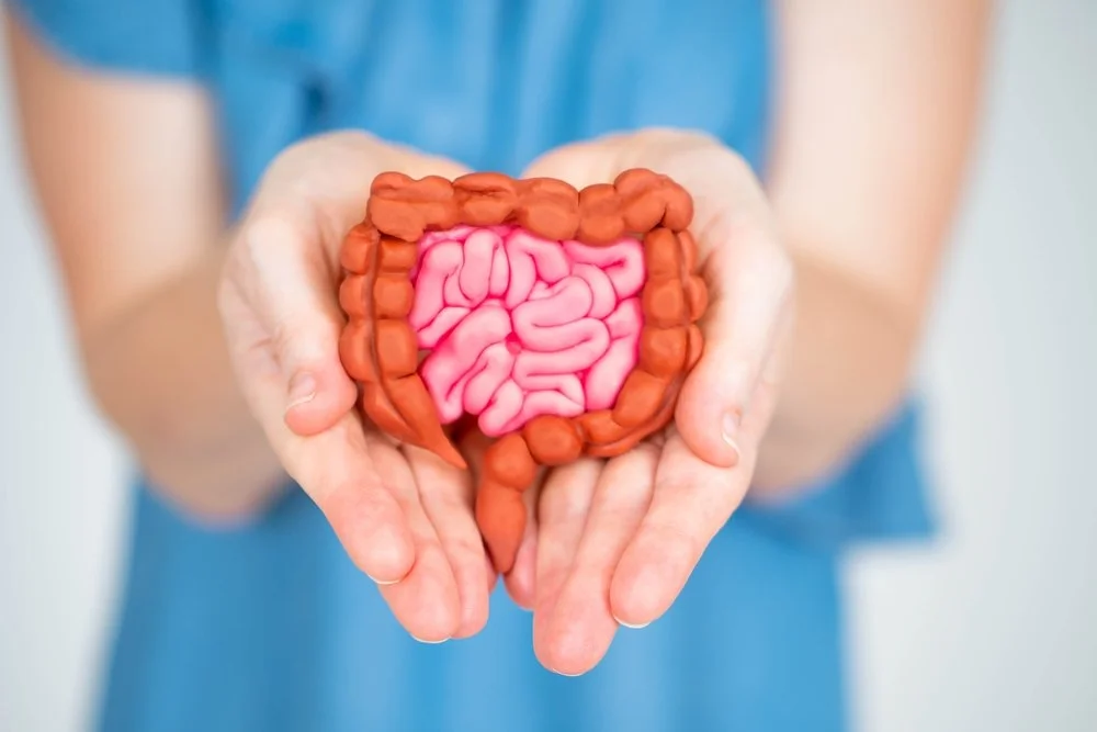 Nurturing the Gut: The Foundation of Well-being and Wisdom