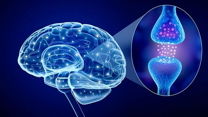 Serotonin: The Key to a Balanced Mind and Body
