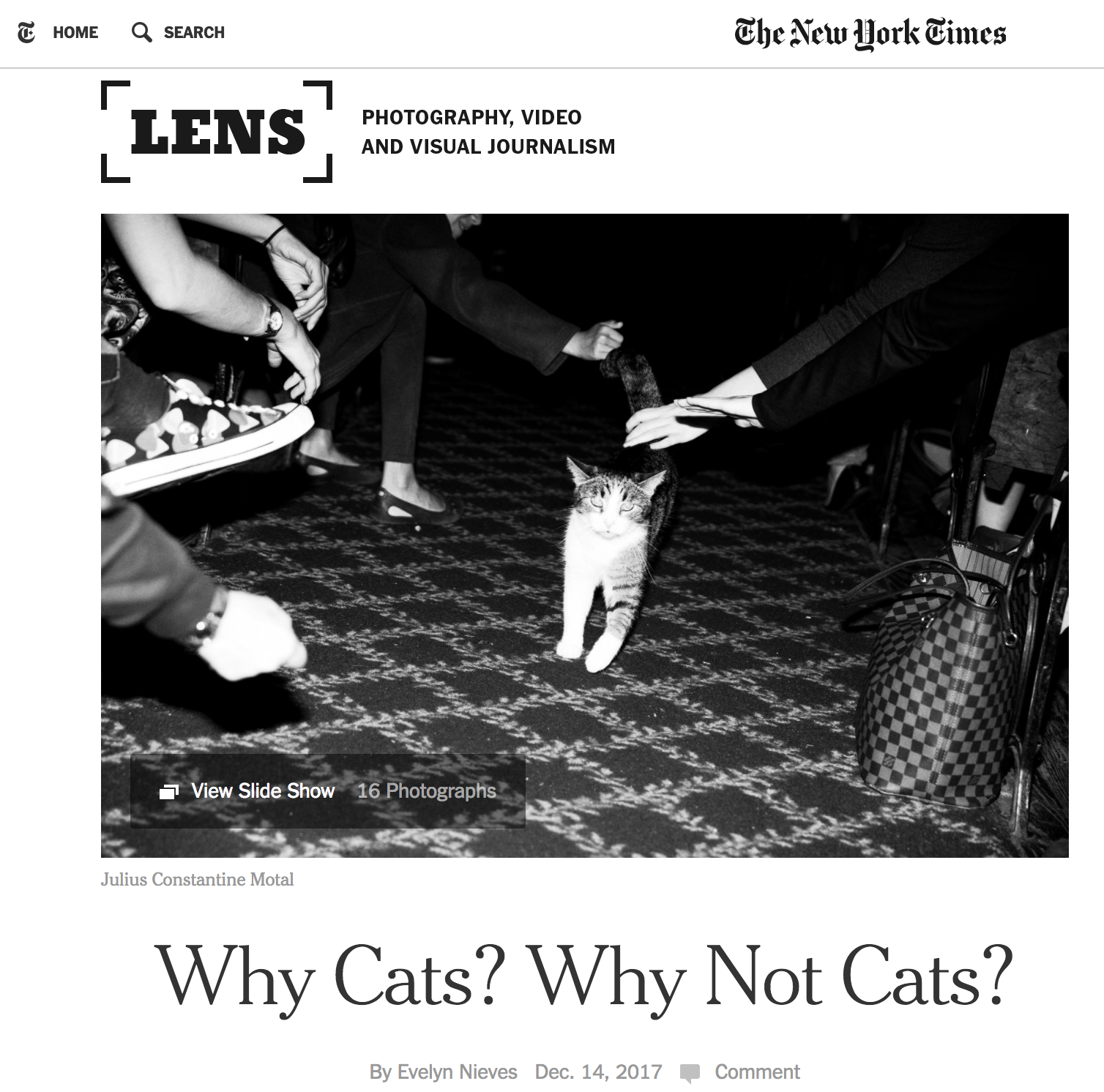 NYTimes Lens - Julius Motal.png