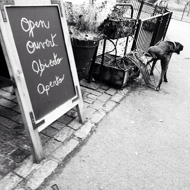 open