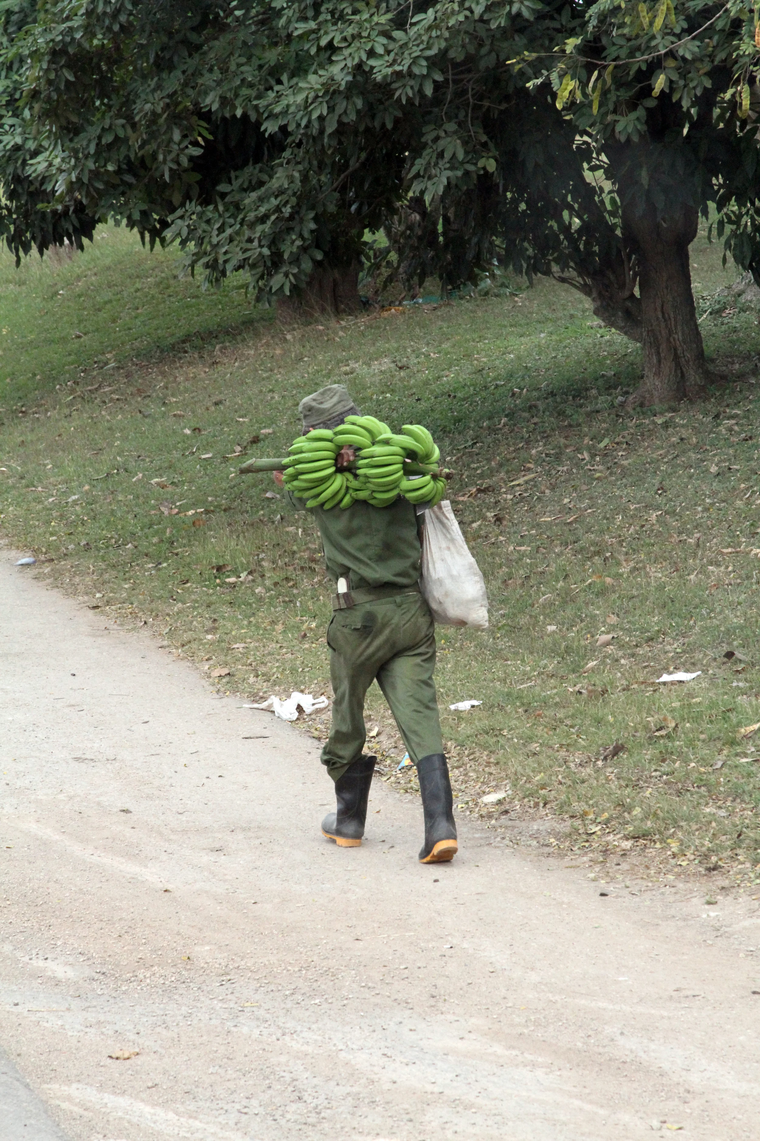 y000152CUBA.jpg