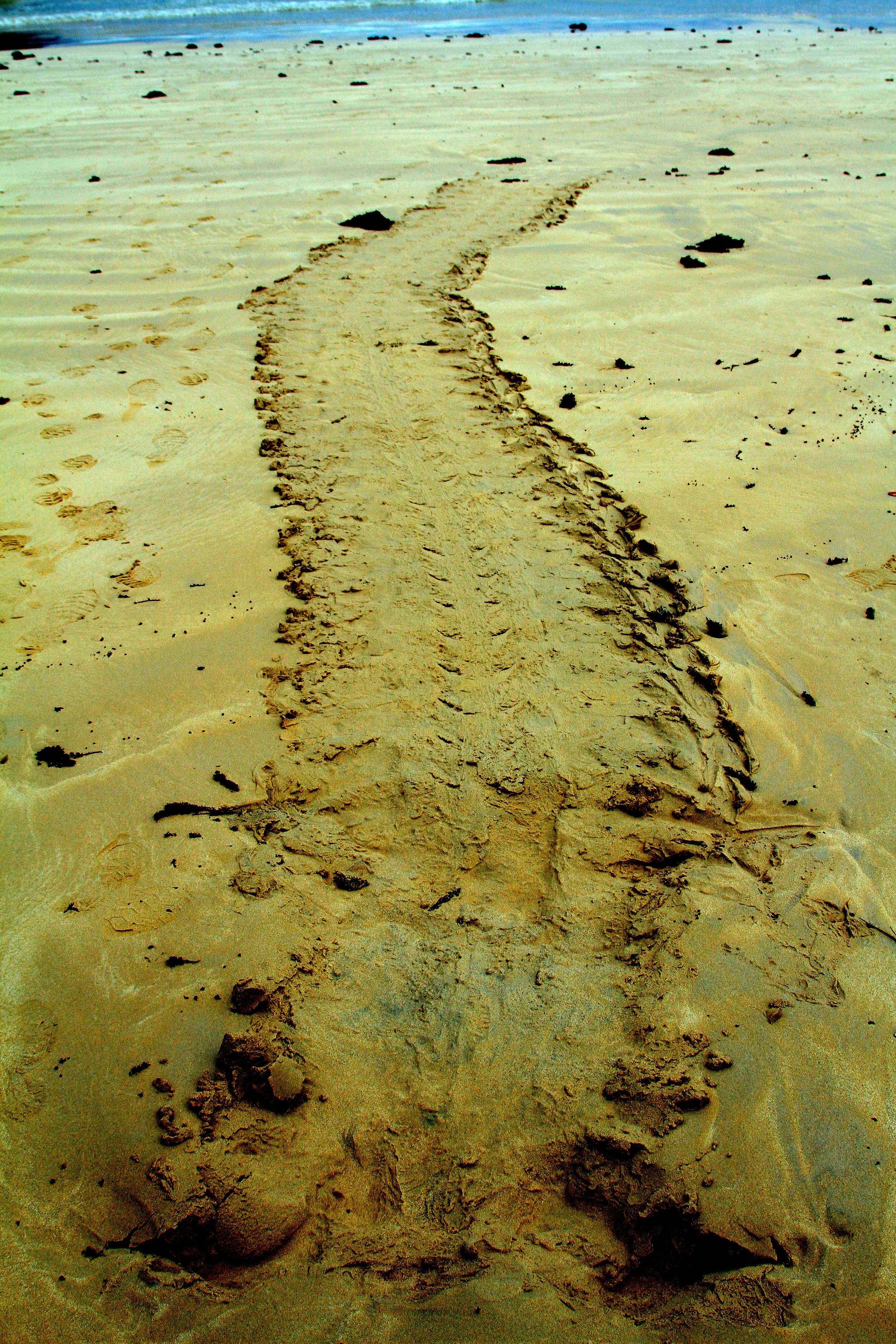 egalapagos001458.jpg