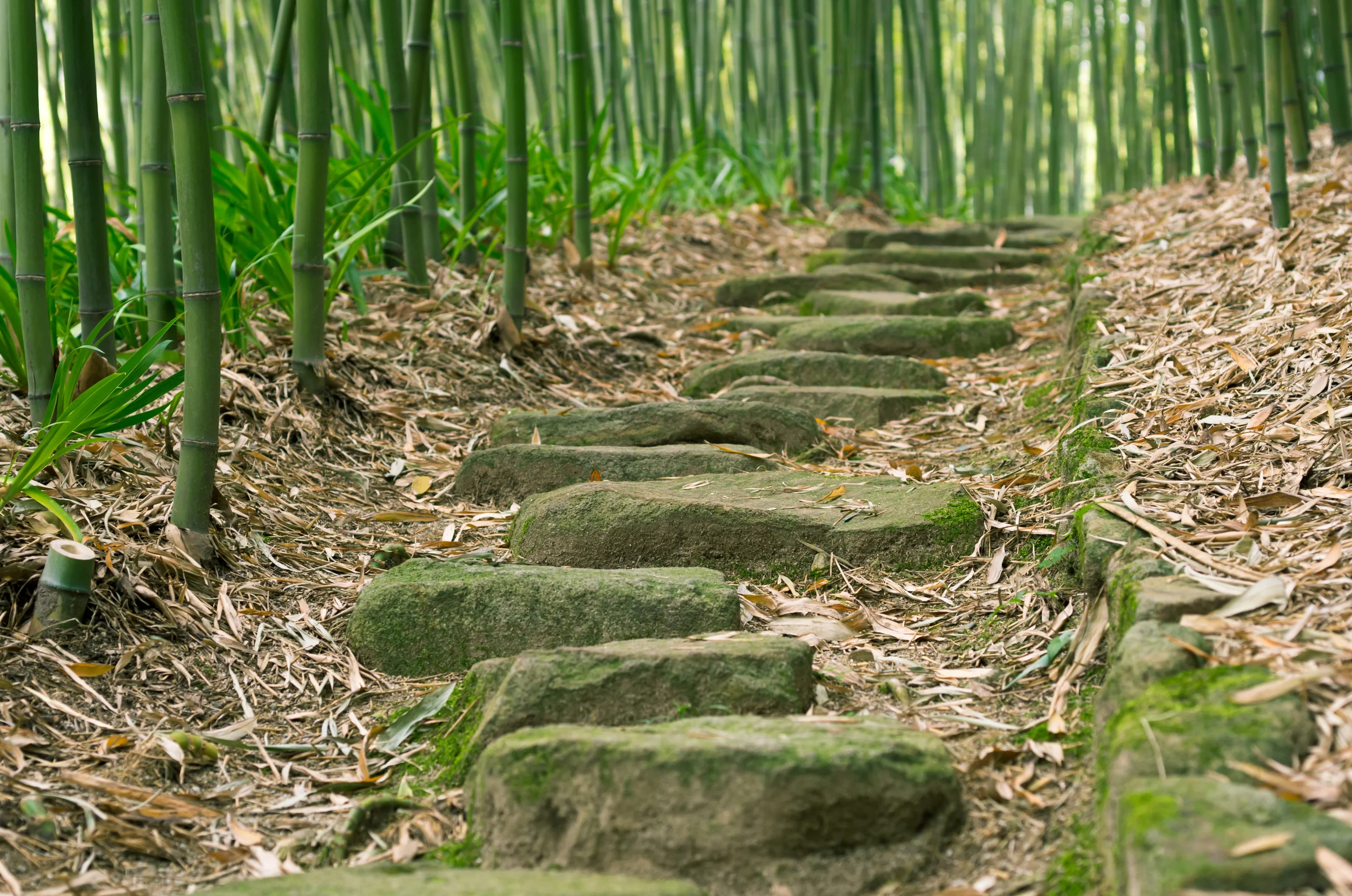   “Your present circumstances don’t determine where you go;&nbsp;they merely determine where you start”     - Nido Qubein        LEARN MORE   