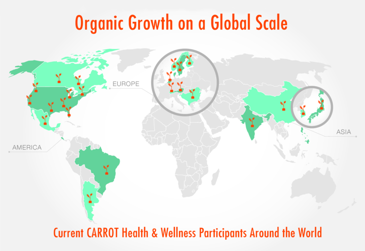 Soil is Fertile for Growing CARROT