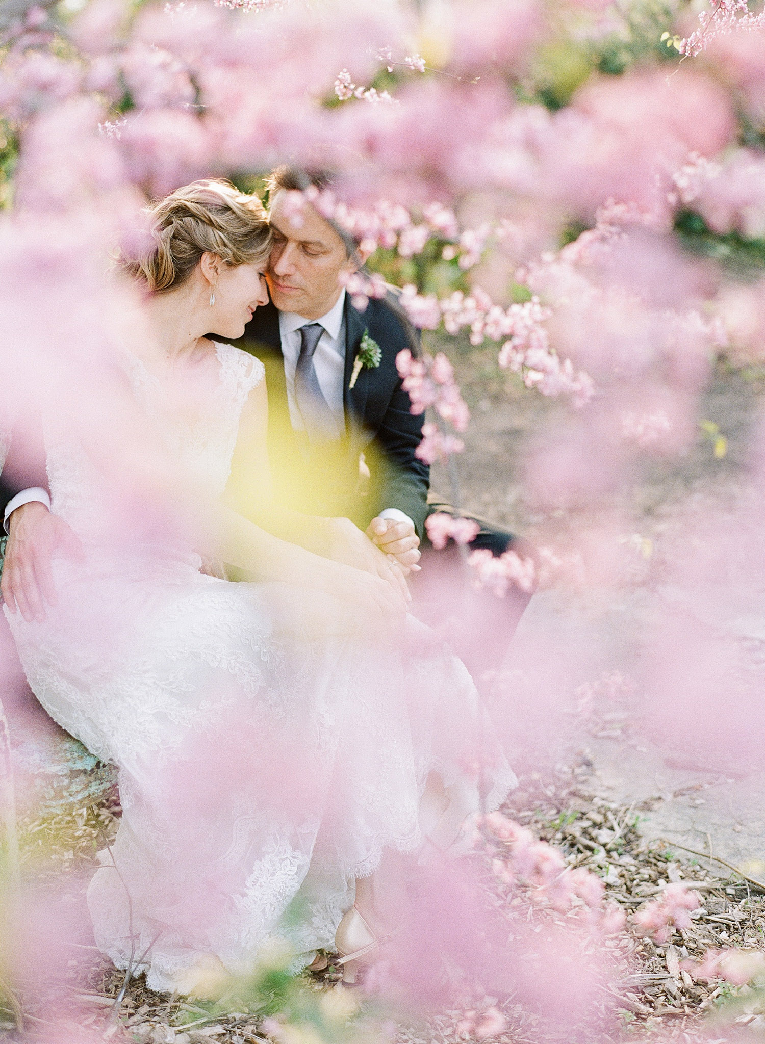 bride and groom kiss through the pink springtime blooms at this springtime wedding at Northwind Perennial Garden - a beautiful wisconsin wedding venue - while Destination wedding photographer Lexia Frank Photographs this wedding on film