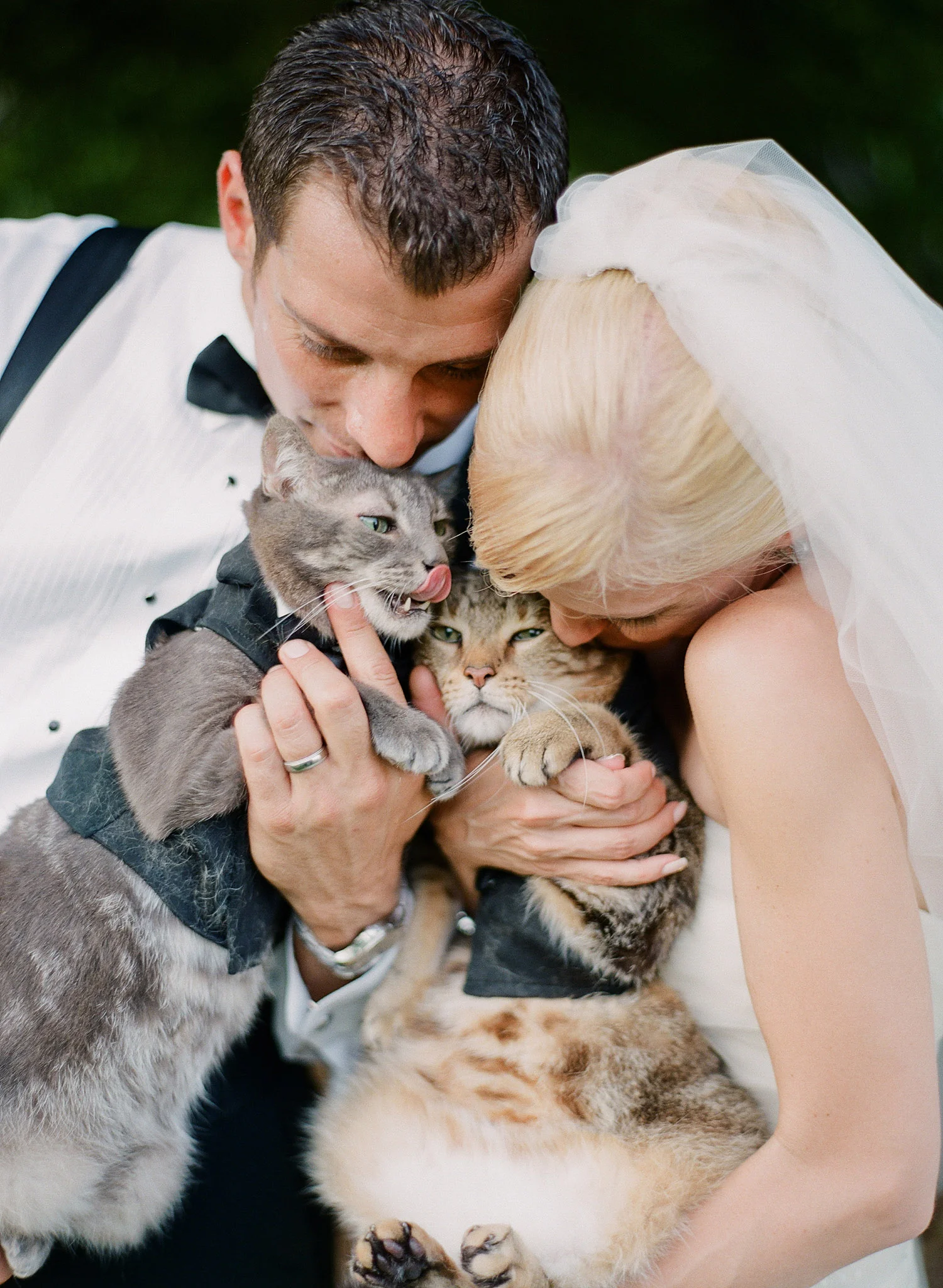 destination wedding photographer, Lexia Frank, photographs this bride and groom with their cats who wore tuxedos to the wedding at the italian destination wedding venue The Villa Terrace
