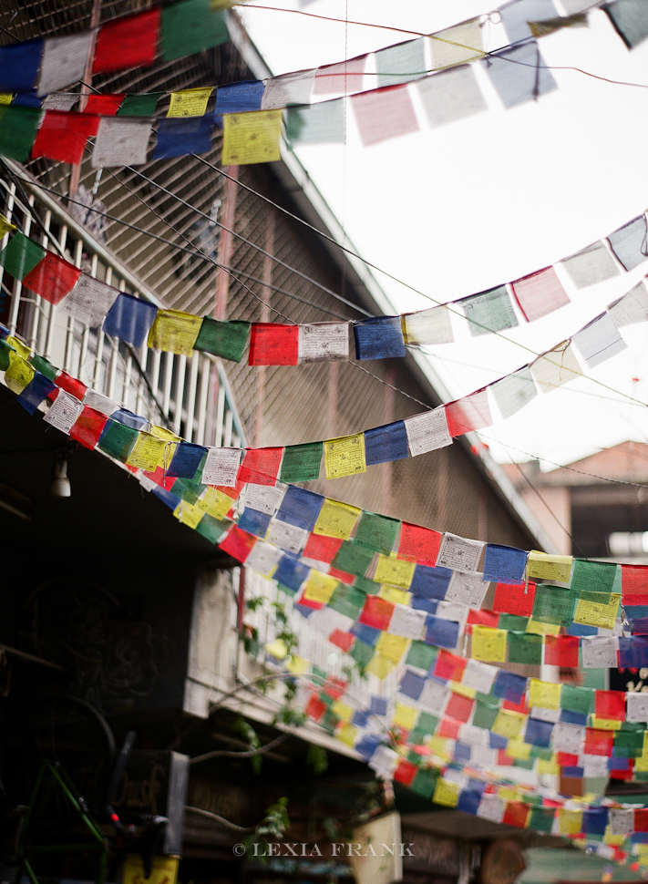 Lexia Frank is a destination wedding photographer and film photographer. As a travel photographer, she visited Nepal in 2015 and photographed these film images of nepalese street life. www.lexiafrank.com Nepal Photography, photography of nepal, nepal stock photography, nepalese children, film photography, contax 645, zeiss lens