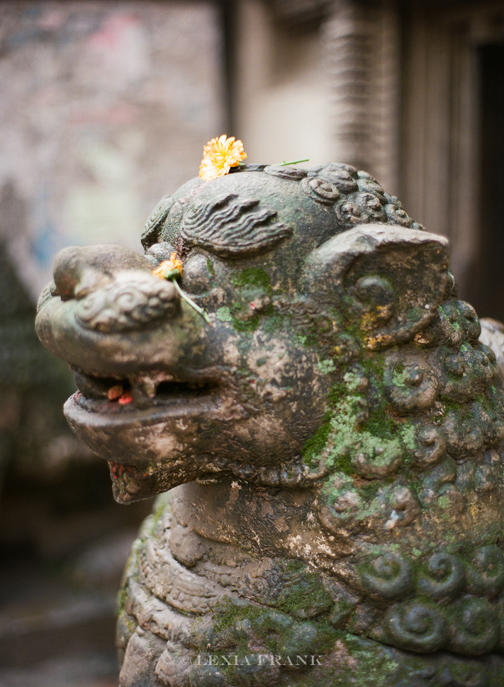Lexia Frank is a destination wedding photographer and film photographer. As a travel photographer, she visited Nepal in 2015 and photographed these film images of nepalese street life. www.lexiafrank.com Nepal Photography, photography of nepal, nepal stock photography, nepalese children, film photography, contax 645, zeiss lens