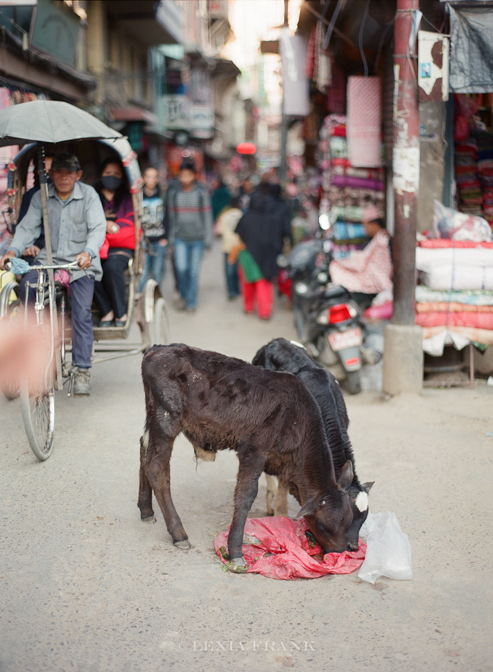 Lexia Frank is a destination wedding photographer and film photographer. As a travel photographer, she visited Nepal in 2015 and photographed these film images of nepalese street life. www.lexiafrank.com Nepal Photography, photography of nepal, nepal stock photography, nepalese children, film photography, contax 645, zeiss lens