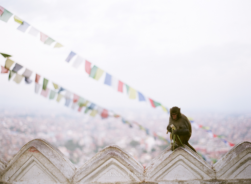 Lexia Frank is a destination wedding photographer and film photographer. As a travel photographer, she visited Nepal in 2015 and photographed these film images of nepalese street life. www.lexiafrank.com Nepal Photography, photography of nepal, nepal stock photography, nepalese children, film photography, contax 645, zeiss lens
