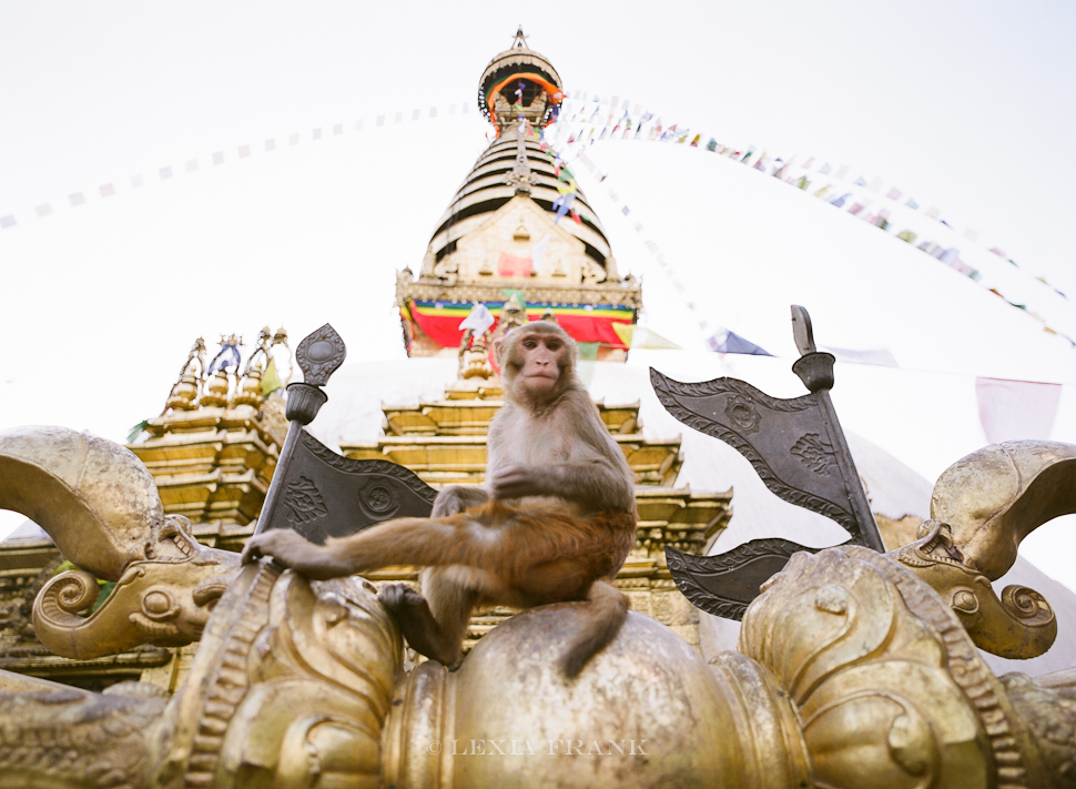 Lexia Frank is a destination wedding photographer and film photographer. As a travel photographer, she visited Nepal in 2015 and photographed these film images of nepalese street life. www.lexiafrank.com Nepal Photography, photography of nepal, nepal stock photography, nepalese children, film photography, contax 645, zeiss lens