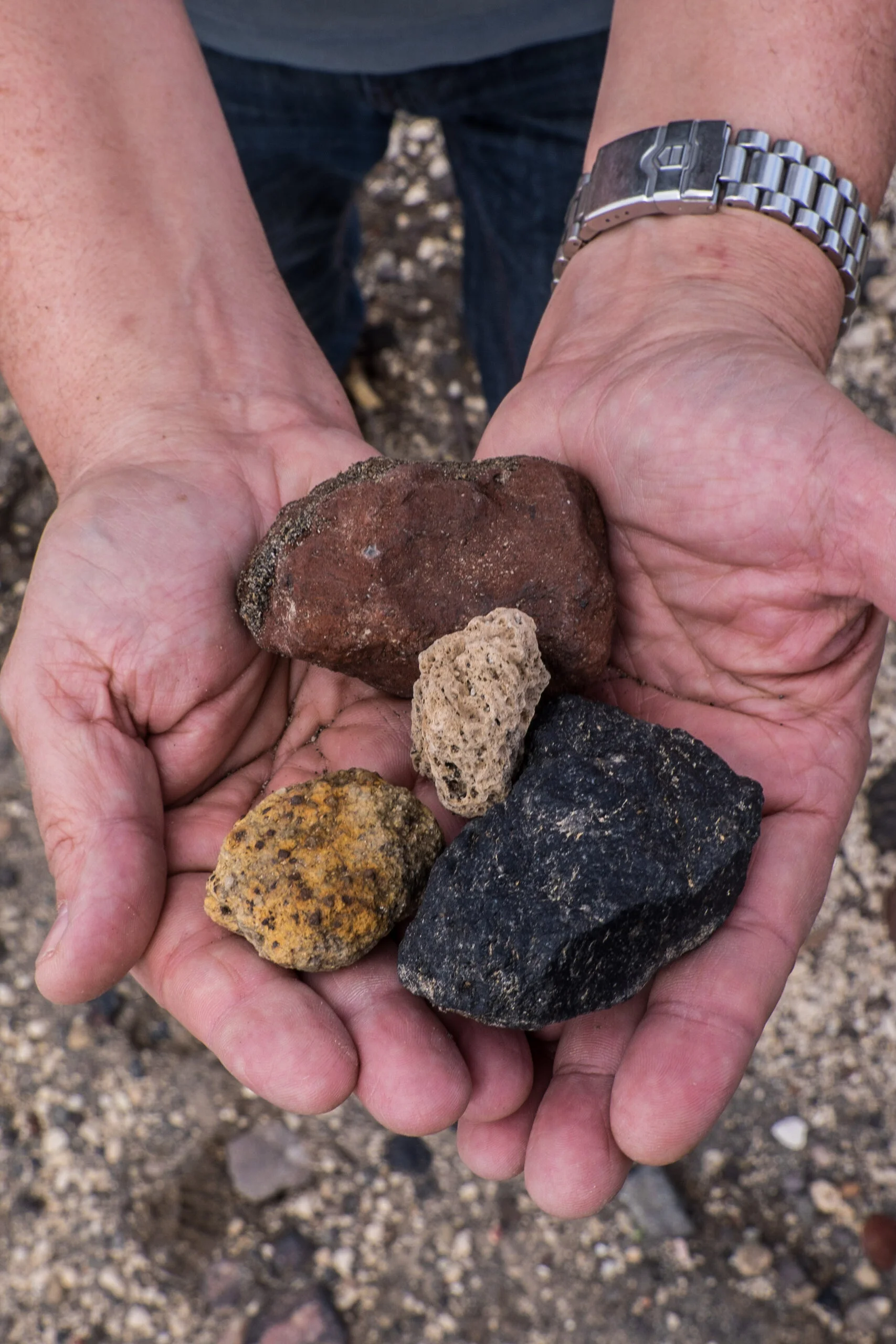 Diversity in volcanic rocks-0269.jpg