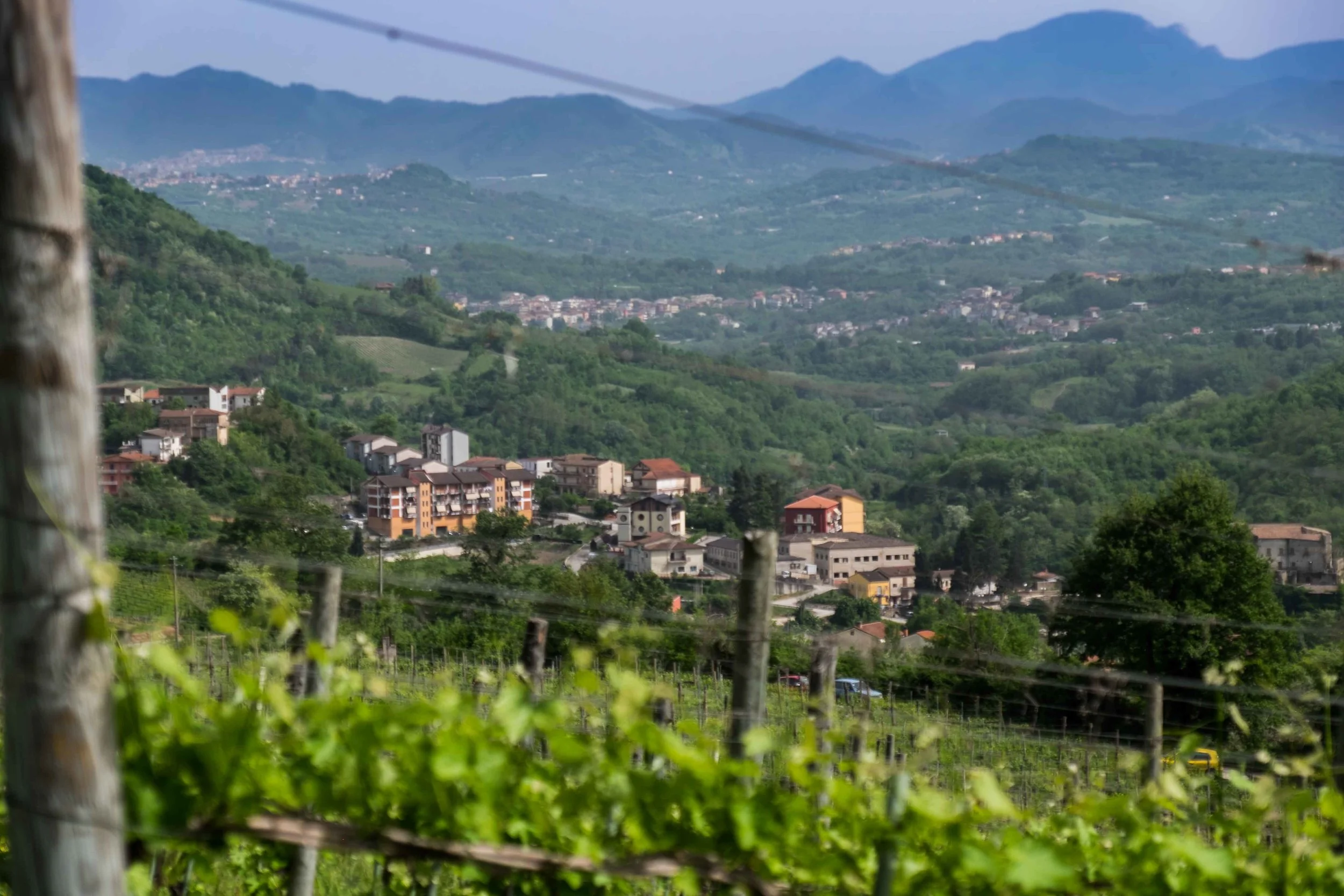 Avellino hills and vineyards from Tufo-1660.jpg