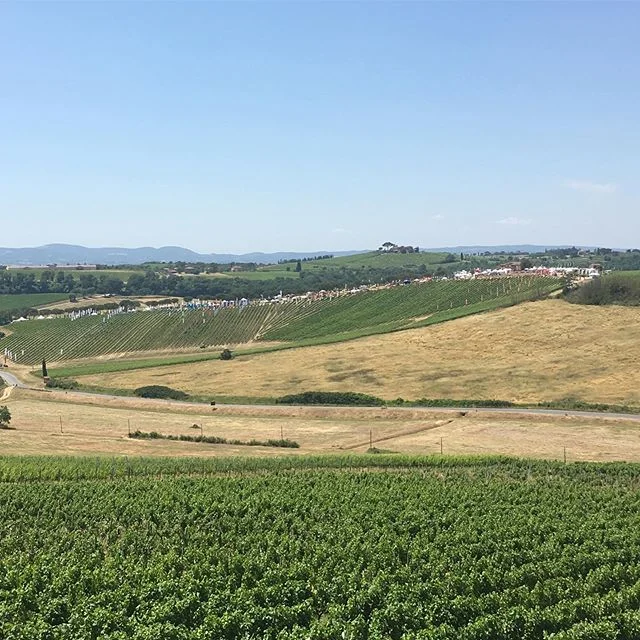 A medieval military encampment, or the largest outdoor viticultural machinery and equipment in Europe? Answer: Enovitis. Get on your tractor.