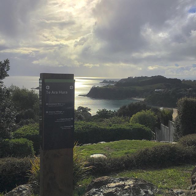 Journey to stunning Waiheke Island through the Auckland Volcanic Field in the Hauraki Gulf. Home to just under 30 wineries. 40m ferry ride from Auckland. Popular tourist destination. Swipe for more pics.