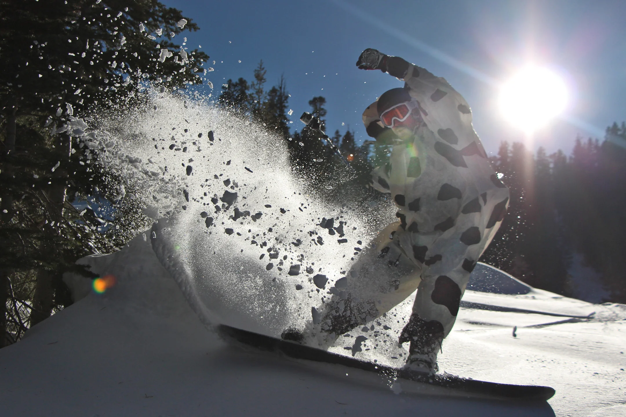 My friend Zach Zach, slashing backcountry pow in an inflatable cow suit.