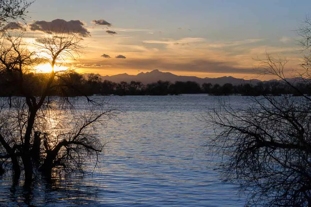 _DSC2886 as Smart Object-1.jpg